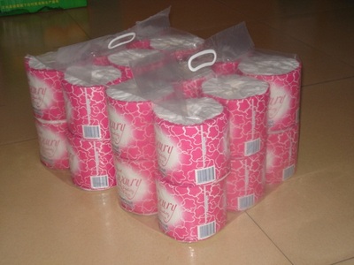 Recycled toilet rolls